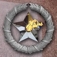 Венок вечный огонь чугун звезда нержавеющая сталь в Калуге (518577)
