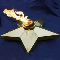 Звезда Ø 1100 - горелка ГВД 379 10 89 00 ПС (1636) в Калуге