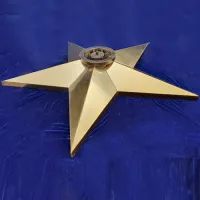 Звезда вечный огонь (1628) поставка комплект горелка ГВД 379 10 89 00 ПС ø 1100 мм. пустотелая в Калуге